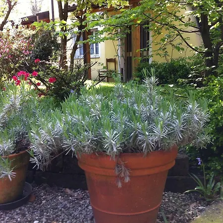 Bed & Breakfast Casa Kirti *